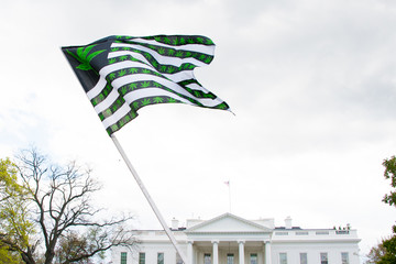 Marijuana Flag at White House