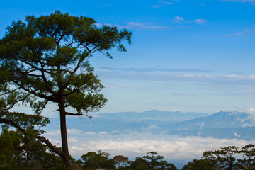 Fototapeta na wymiar A white foggy under clear sky with mountain view background