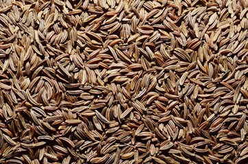 caraway background