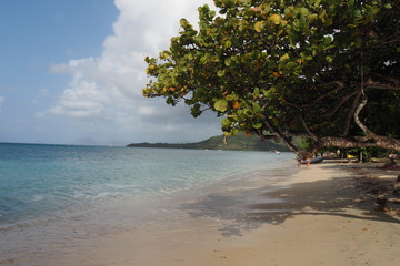 Martinique plage Ste Anne 