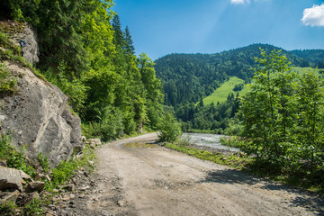 Fototapeta na wymiar road near the river in the Carpathian mountains