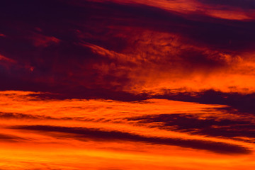 Beautiful Red And Orange Summer Sunset Sky