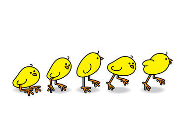 Four Chicks Scattering in a Group