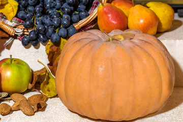 Fresh pumpkin close up. Autumn season fruits harvest