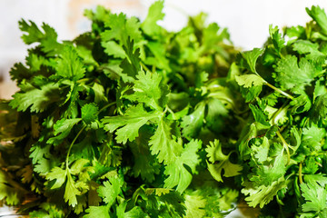 Fresh green Parsley leaves detailed close up