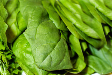 Fototapeta na wymiar Fresh green spinach leaves detailed close up