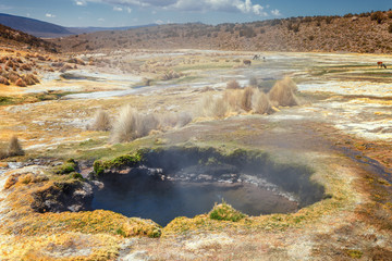 Andean geysers the Junthuma, formed by geothermal activity,  Sajama National Park, Bolivia.