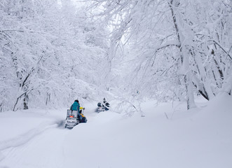 Winter snowy lanscape with road