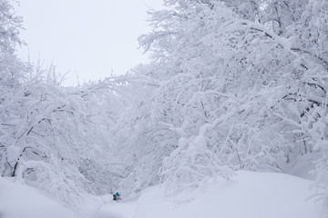Winter snowy lanscape with road