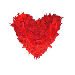 Red feathers heart shape