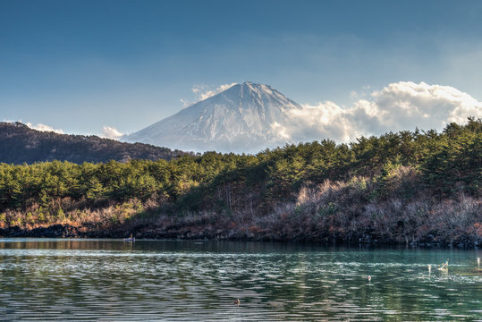 Fuji-san beim Saiko-See (HDR)