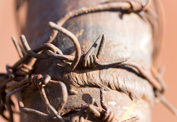barbed wire on tube