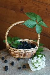 Fototapeta na wymiar Berries in the basket.