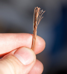 copper wire . macro