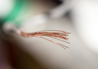 copper wire . macro