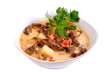 Soup with beef and mushrooms