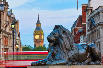 Fototapeta na wymiar London Trafalgar Square lion and Big Ben