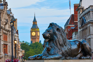 London Trafalgar Square lion and Big Ben - obrazy, fototapety, plakaty