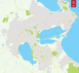 Vector color map of  Tunis, Tunisia. City Plan of Tunis. Vector
