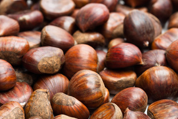 Raw  sweet chestnuts. Ready for cooking.