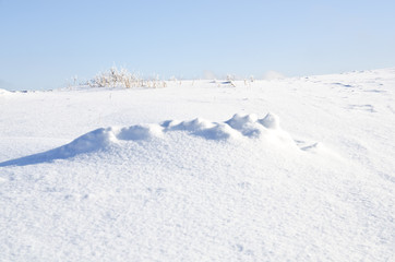 Fototapeta na wymiar krajobraz zimowy