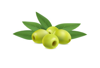 illustration of olives on white background
