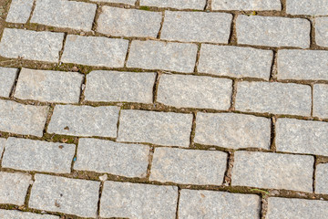 Fototapeta premium Perspective View of Monotone Gray Brick Stone on The Ground for Street Road. Sidewalk, Driveway, Pavers, Pavement in Vintage Design Flooring Square Pattern Texture Background