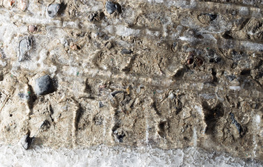 trace of the car in the snow as a background