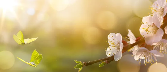 Türaufkleber Blumen Frühlingsblumenhintergrund  Osterlandschaft