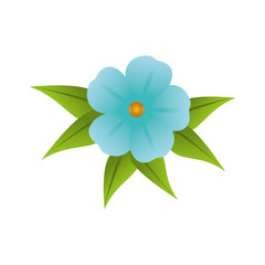 cute flower decorative icon vector illustration design