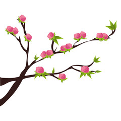 floral cute frame decorative vector illustration design