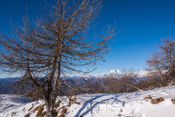 Panoramic landscape, Mottarone, Stresa, Piemonte, Italy