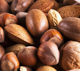 Nuts of several types
