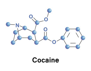 Cocaine is a strong stimulant used as a recreational drug. It is addictive due to the reward pathway in the brain. It acts by inhibiting the reuptake of serotonin, norepinephrine, and dopamine. 