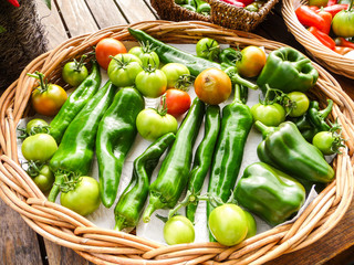 Variety of homegrown tomatoes and capsicum grown in a greenhouse
