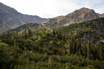 Fototapeta na wymiar slovakian carpathian mountains in autumn