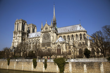 Fototapeta na wymiar Notre Dame - famous Paris cathedral