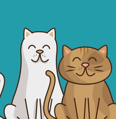 cat pet shop icon vector illustration design