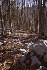 Northern Velebit (national park in Croatia) landscape