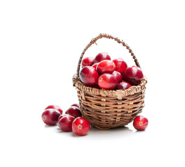 Fototapeta na wymiar Fresh cranberries in small wicker basket isolated on white back