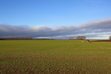 yorkshire wolds wheatlands