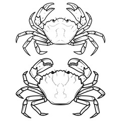 Set of crabs icons isolated on white background. Design elements