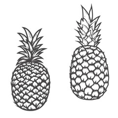 Set of pineapple icons isolated on white background. Design elem