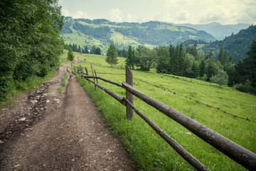 Fototapeta na wymiar trail in the Carpathian mountains in summer