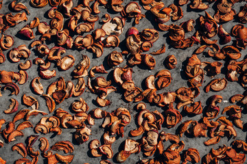 Sliced apples drying on a baking tray on the lawn in the summer garden