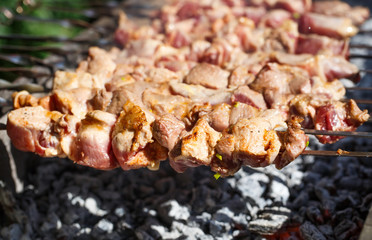 Cooking meat on the fire.