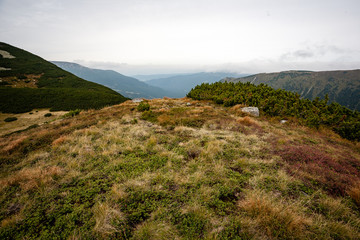 slovakian carpathian mountains in autumn