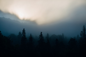 Fog over mountain in sunrise light. Morning sun rays through the fog over mountain slopes. Carphatians, Ukraine