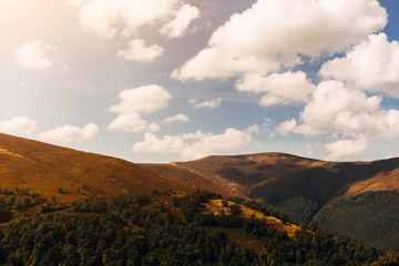Fototapeta premium Mountain range in the Carpathians under the blue sky. Ukraine