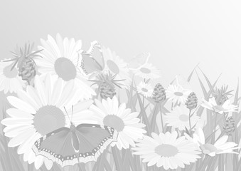 Background made up of flowers and plants. Herbs and flowers. Botany.